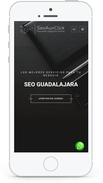 seo en guadalajara