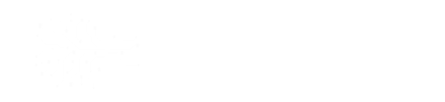 seo guadalajara